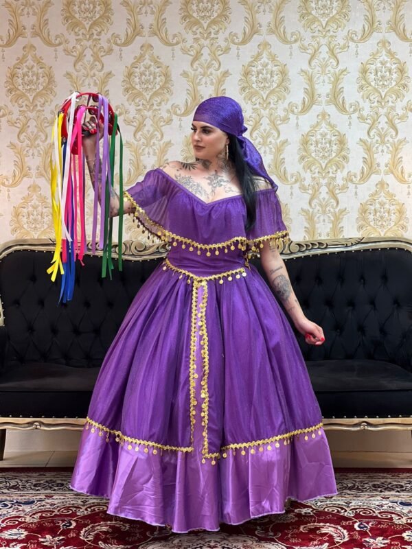 Corpete Moedas Roxo 556
